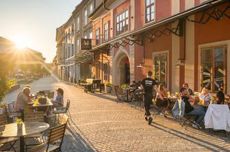 Maribor razglasili za vinsko prestolnico Evrope