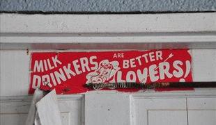 Pivci mleka so boljši ljubimci: Med amiši v Pensilvaniji