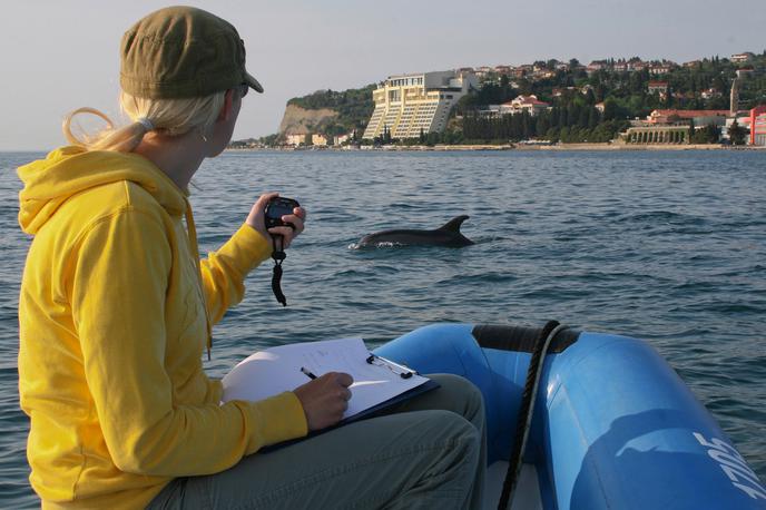 Coca Cola Vedno podpiraj dober namen | Društvo Morigenos je bilo nagrajeno za za raziskovanje delfinov v slovenskem morju.