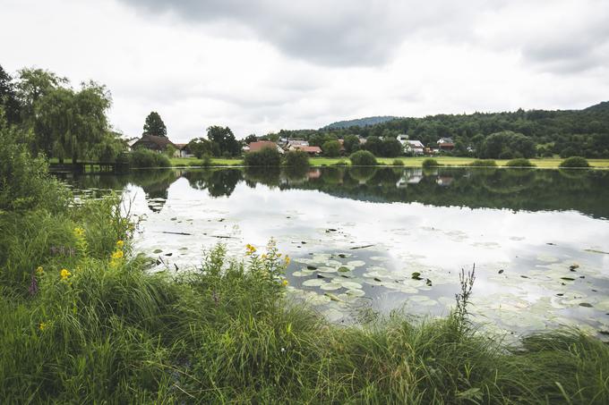 Podpeško jezero | Foto: Bojan Puhek