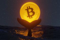 Po 14 letih prodal vse svoje bitcoine. Preverite, koliko milijard je zaslužil.