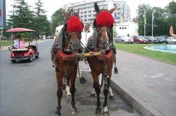 Sončna obala, bolgarska meka zabave