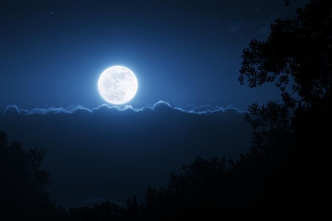 Tako blizu kot v noči na 14. november Luna ni bila že od januarja 1948. Zemlji se bo znova primerljivo približala šele 25. novembra 2034.  | Foto: Thinkstock
