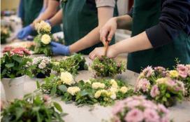 HVU Celje, pomočnik v biotehniki