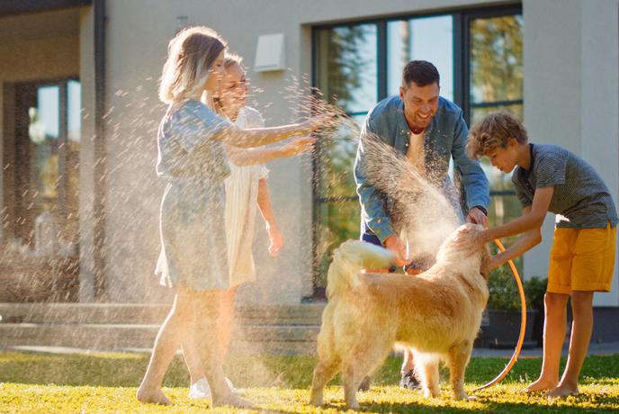 Vodni kamen uničuje naprave in zvišuje račune. Obstaja naravna rešitev brez soli in kemikalij.