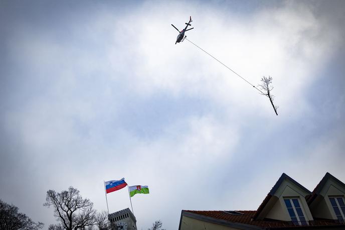 Helikopter spravilo lesa grajski grič | Razprave o preobsežni sečnji na družbenih omrežjih pa je komentiral z besedami, da je na tem mestu predviden naraven prirast dreves in ne sajenje novih dreves, ta del pobočja pa so že počistili. Dodal je, da bodo v času pilotiranja javnosti še enkrat predstavili potek del. "Če bo treba, bomo povabili še zavod za varstvo narave in zavod za gozdove," je zaključil Janković. | Foto Ana Kovač