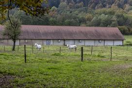 Pedagoško raziskovalni center za konjerejo Krumperk