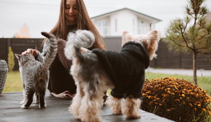 Kateri hišni ljubljenček najbolj ustreza vašemu znaku horoskopa?