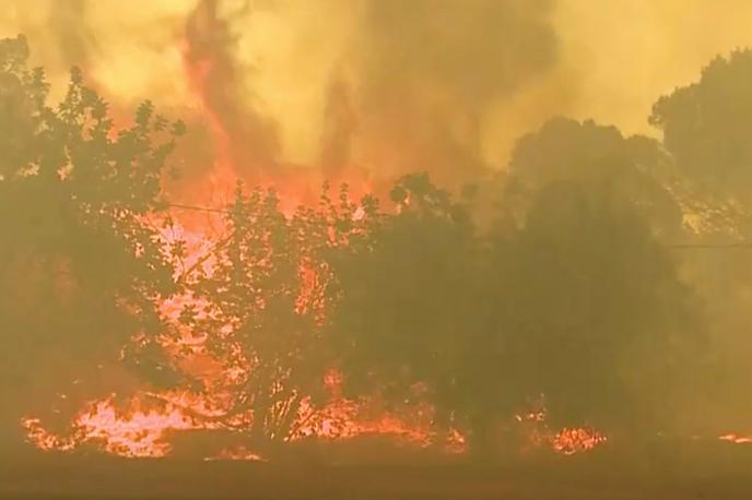 Požar | Celotna južna Evropa se tako še naprej spopada s silovitim vročinskim valom, ki podžiga gozdne požare in grozi z novimi temperaturnimi rekordi. | Foto Reuters