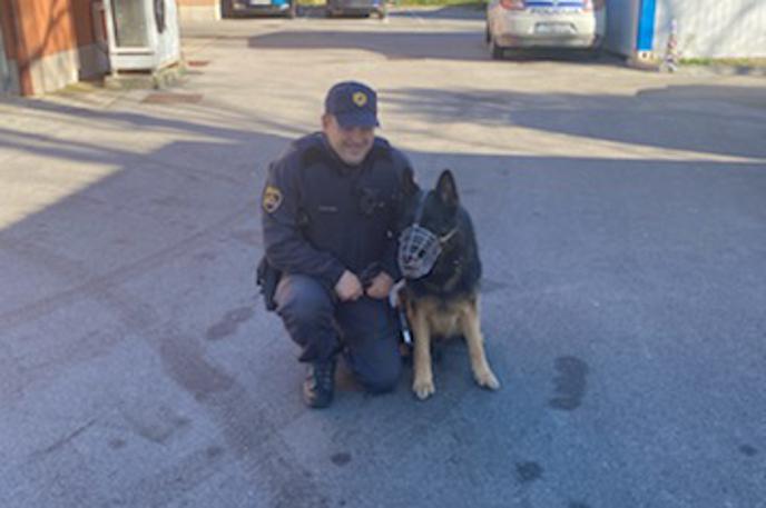 policijski pes Riki | Na območju Podgorja so policisti iskali službenega psa Rikija. | Foto PU Koper