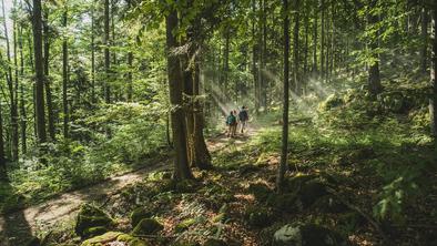Previdno pri obisku gozdov: pogrešano občanko so našli mrtvo