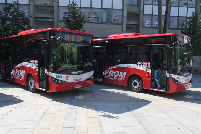 Avtobusi Marproma v Mariboru so prav tako prijazni do ljubljenčkov. | Foto: STA ,