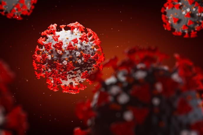 koronavirus | Slika je simbolična. | Foto Getty Images