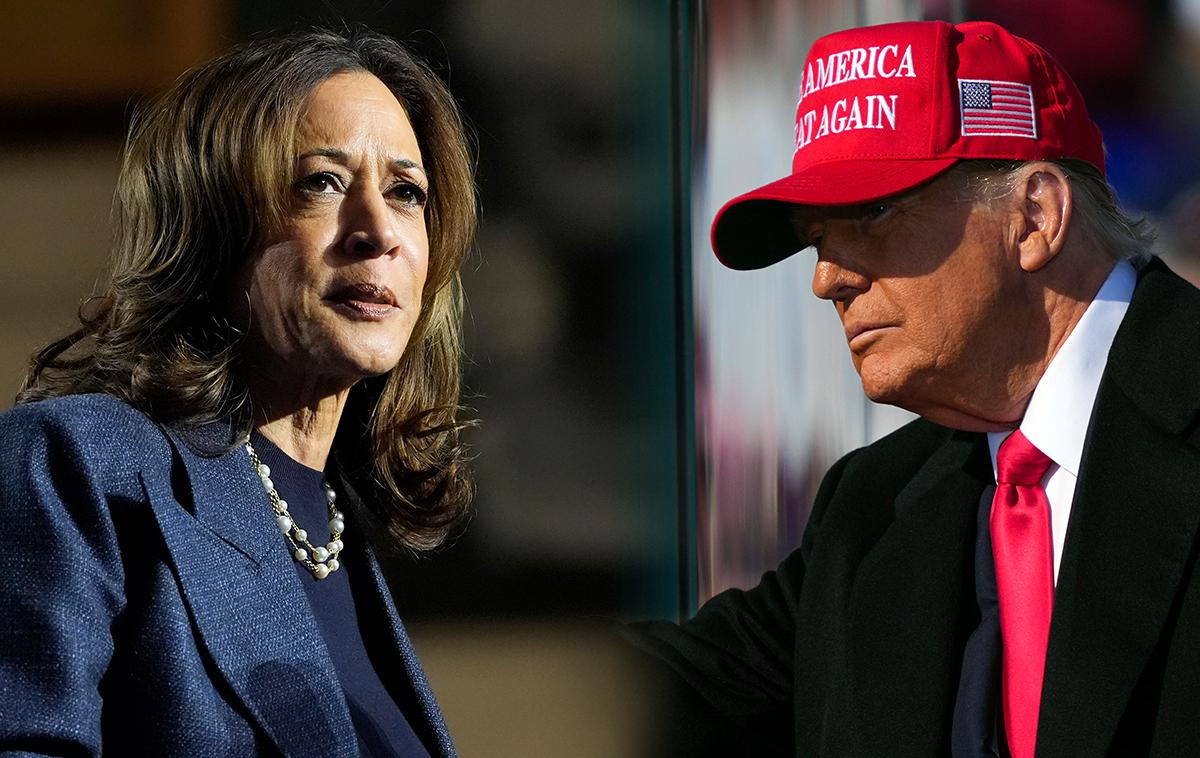 Ameriške volitve 2024, Donald Trump, Kamala Harris | Tekma med kandidatoma za predsednika ZDA se bo odvijala do zadnjega, saj je v tem trenutku več ključnih držav še vedno neodločenih. Predčasno je že glasovalo več kot 77,6 milijona ljudi, kar predstavlja skoraj polovico vseh oddanih glasovnic leta 2020. | Foto Reuters, Guliverimage