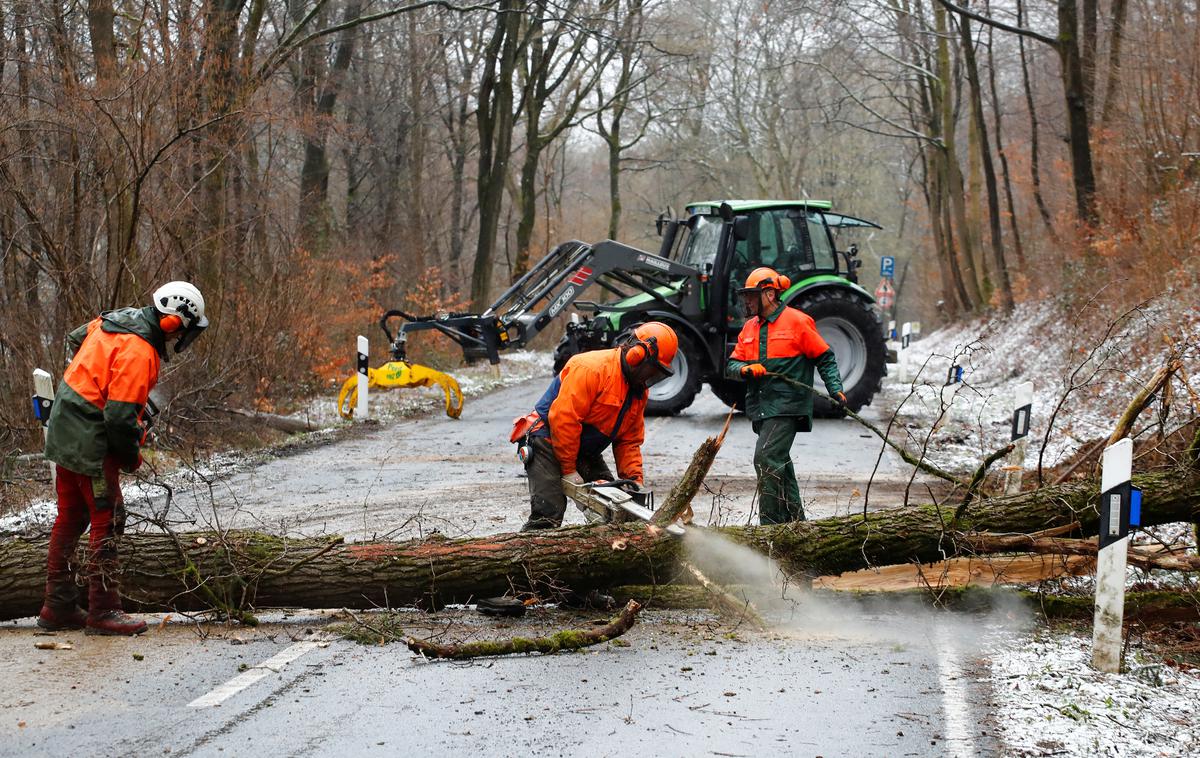 neurje cesta podrta drevesa delo na cesti nemčija | Gasilci in druge nujne službe so morale po celi državi več kot tisočkrat na teren, kjer so med drugim umikali podrta drevesa in pomagali pri odkritih strehah. | Foto Reuters