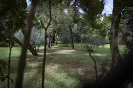 Vila Tartini