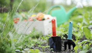 Vrtnarski triki, ki vam jih ne bodo zaupali v vrtnarskem centru