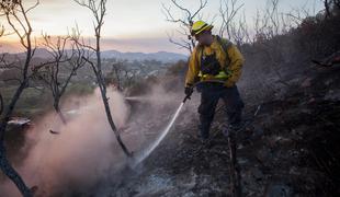 Požari v Kaliforniji zahtevali prvo žrtev (video)
