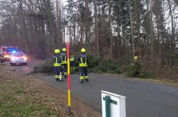 Arso izdal oranžno opozorilo: močan veter podira drevesa in električne drogove