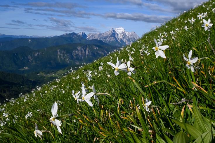 Prve ključavnice ob poti in v ozadju Triglav. | Foto: Matej Podgoršek