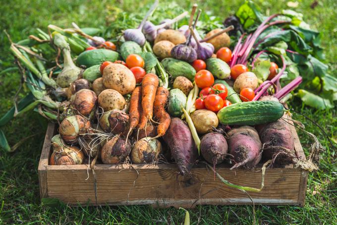 Uživanje svežega sadja in zelenjave je bistveni del naše vsakodnevne prehrane. Veliko ljudi pri nakupovanju pridelkov izbere lokalno pridelano.  | Foto: Getty Images