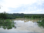 Poplave Dragonja