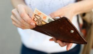 Vlada razkrila podatke o plačah na NIOSB