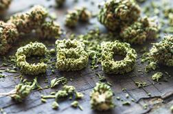 ZPS opozarja na pomanjkljiv nadzor nad izdelki s CBD