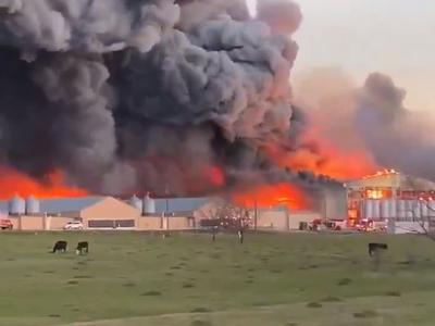Boj s plameni v obsežnem požaru na perutninski farmi #video