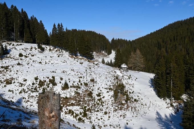 Prek planote Golte, čez planino, nazaj na izhodišče v bližini Mozirske koče. | Foto: Matej Podgoršek