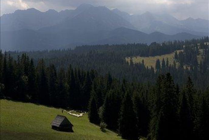 Zakopane – poljska Kranjska Gora