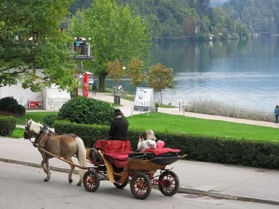 Konj se je splašil in prevrnil kočijo s turistkama. Utrpeli sta poškodbe.