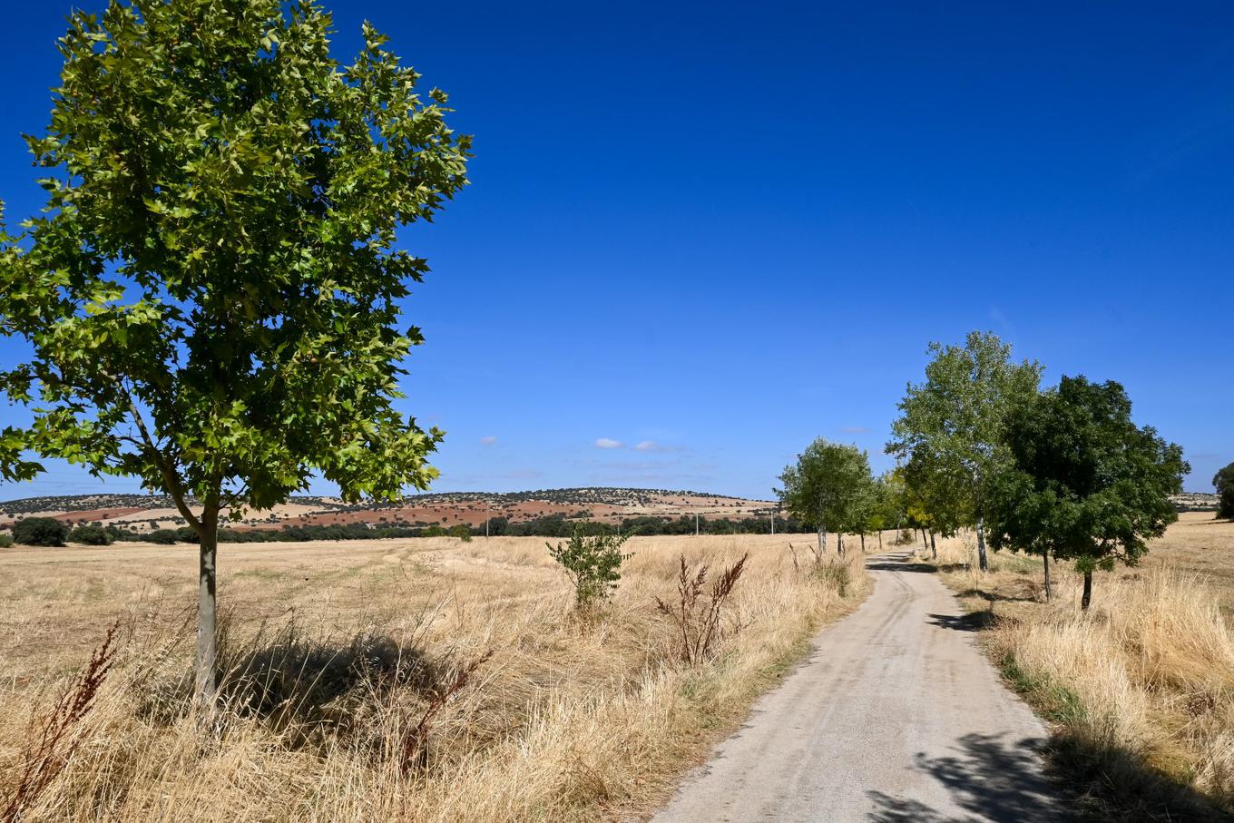 Castela La Mancha, seca, ensolarada e ventosa, terra de Dom Quixote. | Foto de : Matej Podgoršek