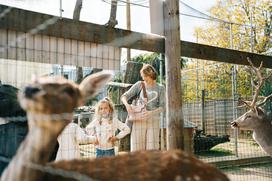 marolt zoo land mcdonalds