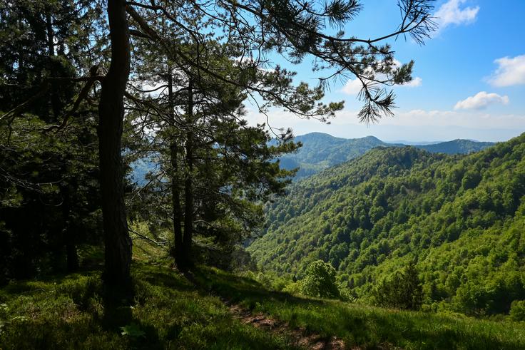 Gontarska planina | Foto: Matej Podgoršek