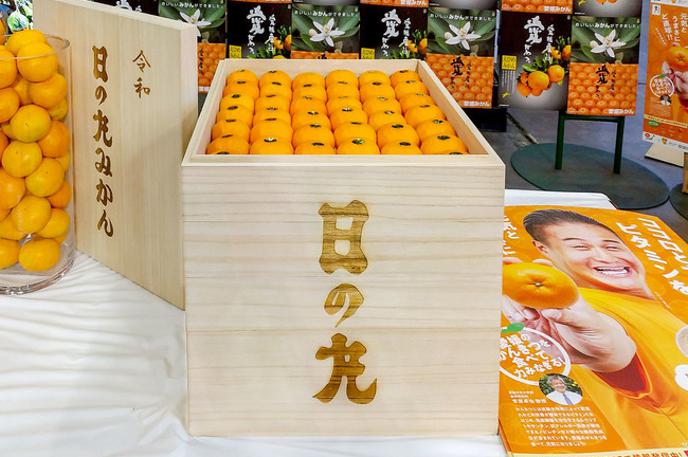 Nishiuwa mandarine | Zabojček s sto mandarinami, za katerega je kupec odštel več kot 8.000 evrov. | Foto JA Nishiuwa