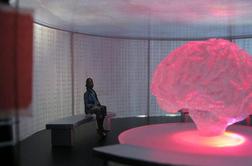 Kaj se skriva v naših glavah? Možgani v Ljubljani (foto)
