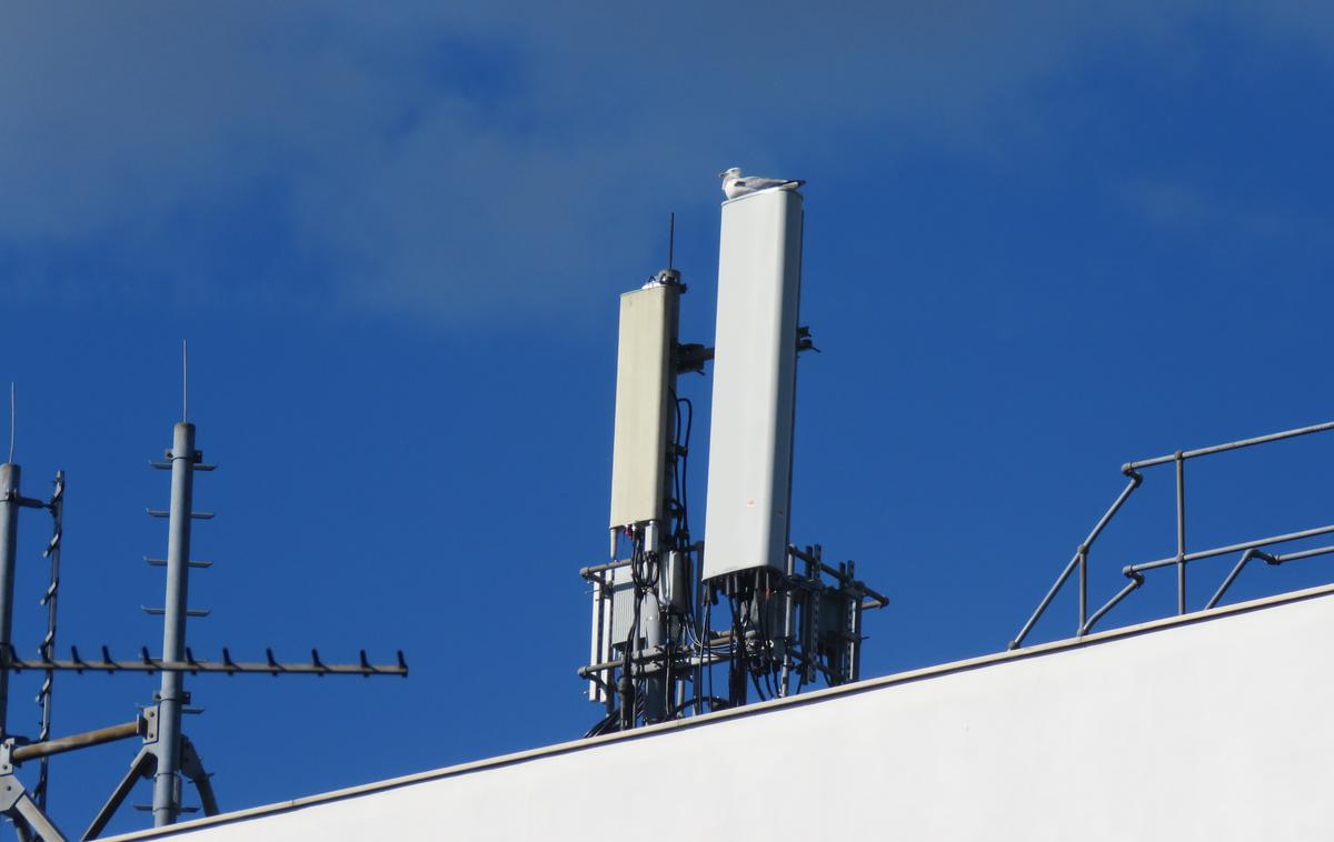 Huawei 5G | Telekom Slovenije je s tehnologijo 5G že leta 2021 kot prvi operater v Sloveniji opremil več kot 300 baznih postaj in tako dosegel tretjinsko pokritost prebivalstva. Od začetka lanskega leta pa so nadgradili že skoraj tisoč izmed več kot 1.500 baznih postaj (fotografija je simbolična). | Foto Shutterstock