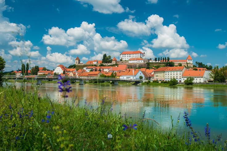 Foto: Mankica Kranjec (za Zavod za turizem Ptuj) | Foto: 