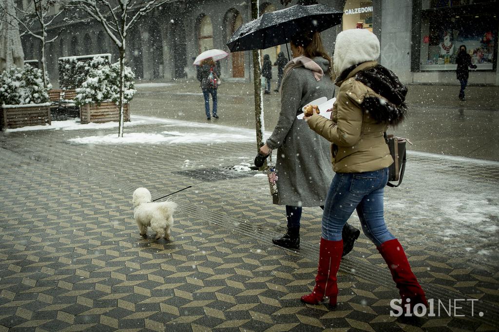 Sneženje v Ljubljani