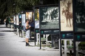 Odprtje razstave Cvetje v jeseni v Ljubljani