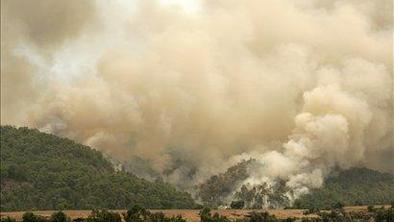 V Grčiji in Turčiji divjajo gozdni požari