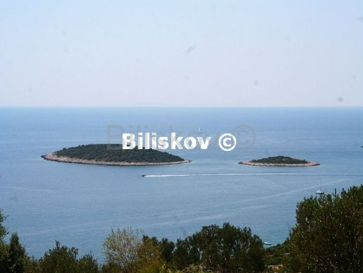 Mali Kosmač | Foto: 