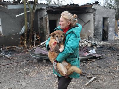 Šokantno odkritje: psi v Ukrajini niso več enaki kot pred vojno