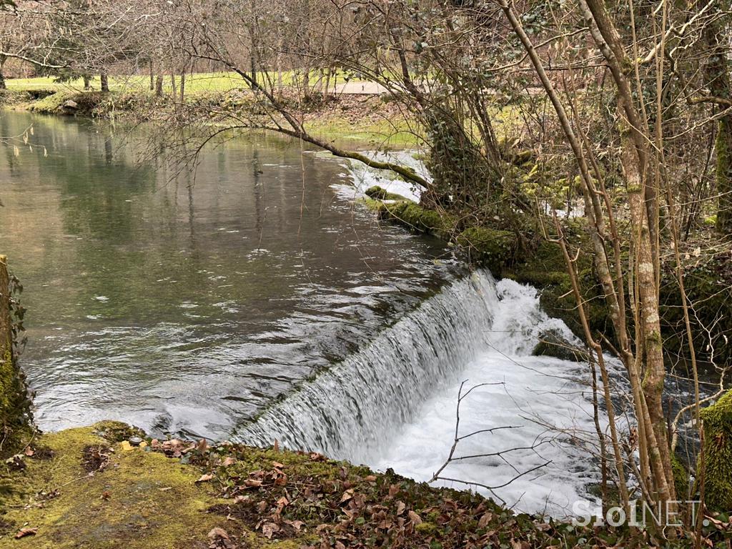 Kostanjevica na Krki, reka Studena