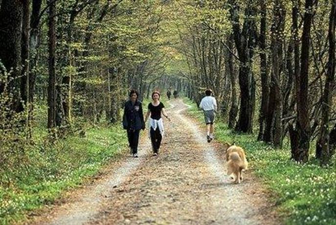 Na festival vrtnic