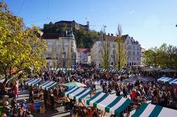 November obljublja vrhunsko vinsko pokušino