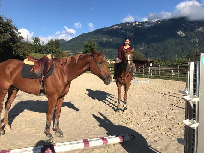 V Švici skrbi za šest tekmovalnih konj norveške jahačice. Na fotografija sta dva od njih, Alf in Ice, njen konj Ryan je v Sloveniji. | Foto: Osebni arhiv
