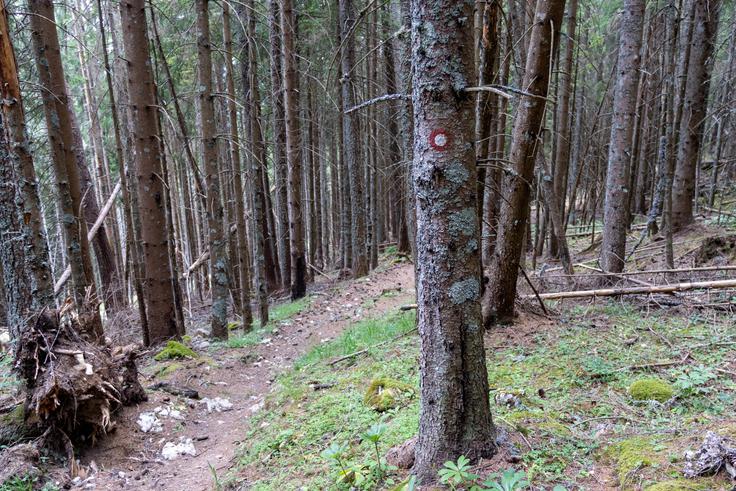 Sestop s planine na Loki proti Hudi ravni. | Foto: Matej Podgoršek