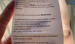 Ker pes v morju ni bil na povodcu, so jo oglobili z 200 evri